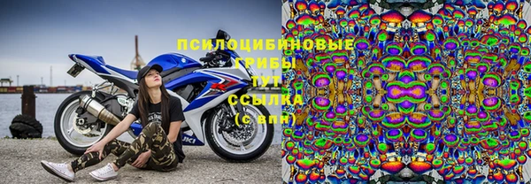 молекула духа Тобольск