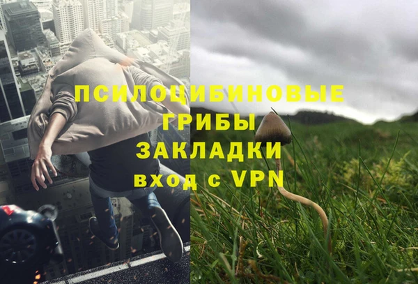 мдма Ельня