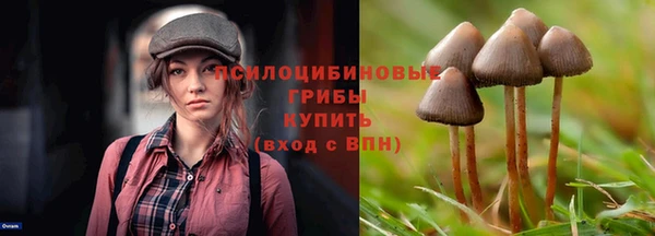 бутират Елизово