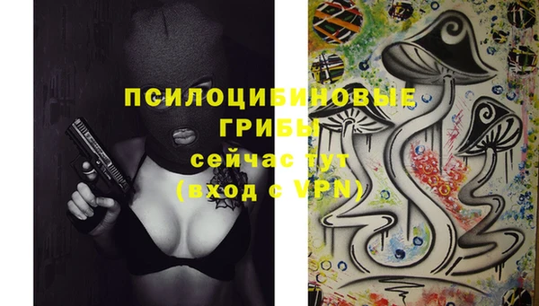 трава Дмитриев