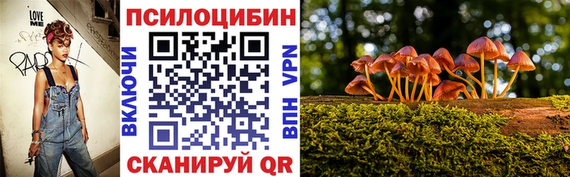 наркошоп  Котельники  Псилоцибиновые грибы Psilocybine cubensis 