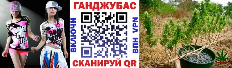Конопля план  как найти   Котельники 